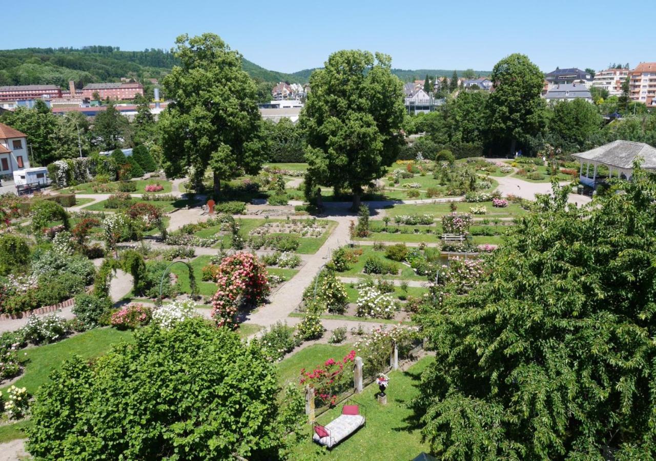 Le Jardin Des Roses Saverne Exterior foto